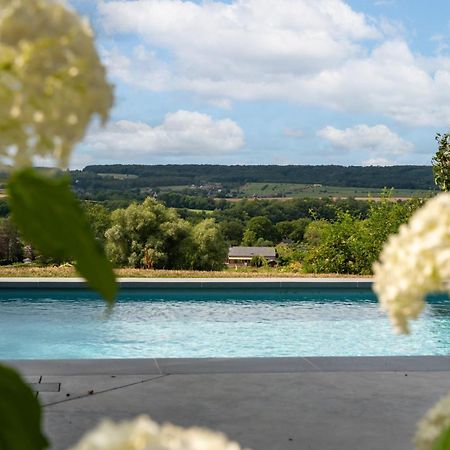 Gite 1 Maison Caerdinael - Gite 14 Personnes Sur Les Hauteurs De 杜柏 外观 照片